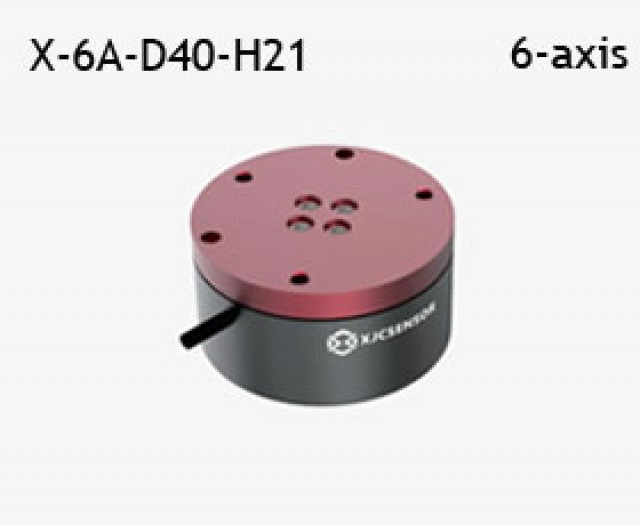 X-6A-D40-H21-MAIN.thumb2.jpg